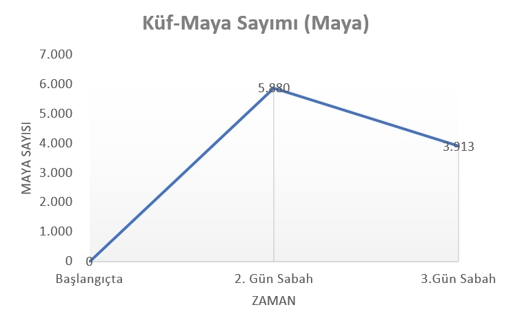 küf-maya sayımı